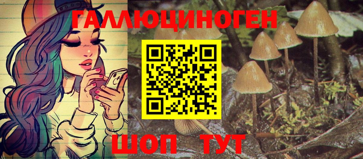 Псилоцибиновые грибы Psilocybe  Вход с VPN  Рязань 